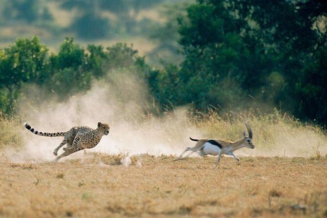 2 days Amboseli National Park Safari - The Sum Up
