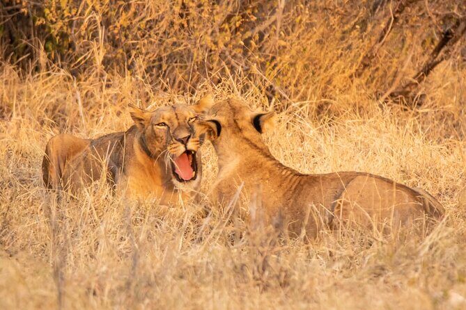 2 days Amboseli national park safari - Who Should Consider This Tour?
