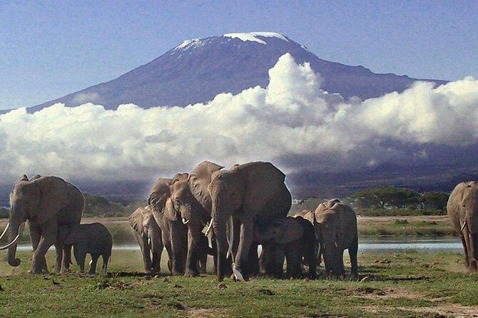 2 Days Amboseli National Park Safari- Guarantee Daily Departure - What’s Included and What’s Not