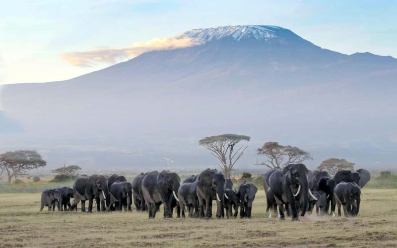 2 Days Amboseli National Park Safari Tour - Exploring Amboseli in Depth