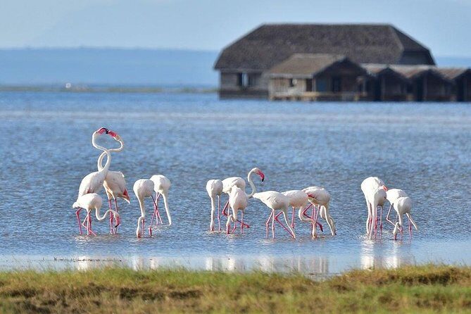 2 Days Amboseli Private Safari - Exploring the Itinerary: What You Can Expect in Detail