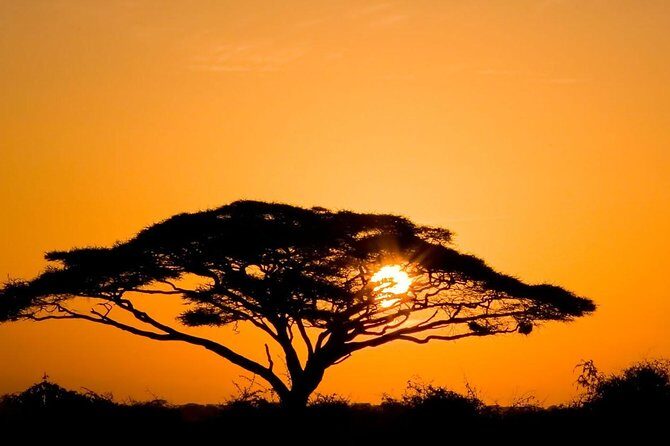 2 Days Amboseli Private Safari - Analyzing the Value: Is It Worth It?