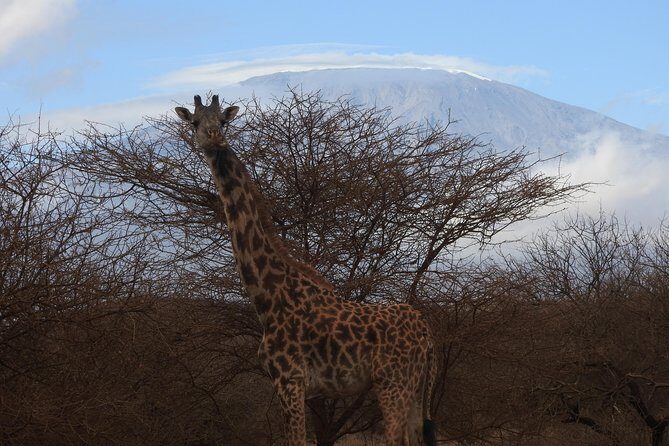 2 Days Amboseli Safari - Key Points