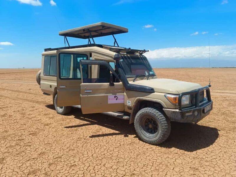 2 Days Amboseli Safari - The Itinerary in Detail: What You’ll Experience