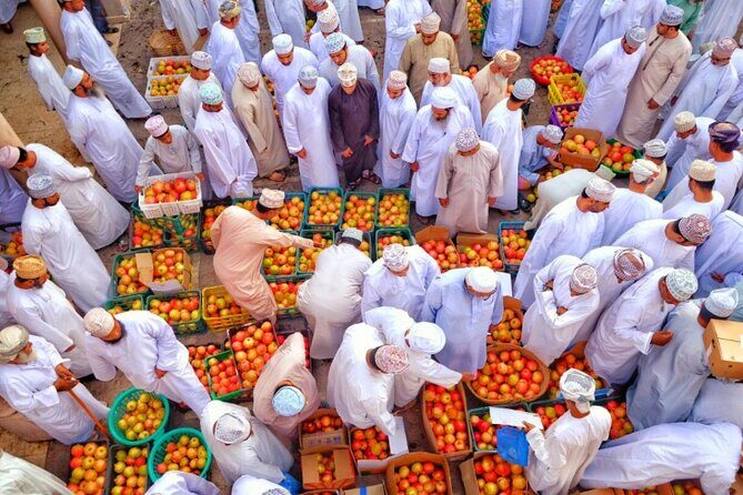 2 days and 1 night Private tour to Jebel Shams/Nizwa - Muscat - Transport, Guides, and Value