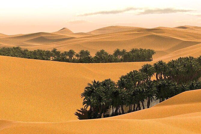 2 Days and 1 Night Private Wahiba Sands Desert Tour - FAQ