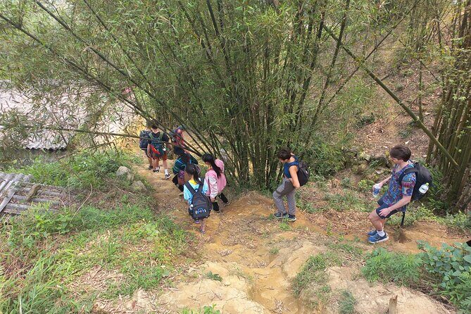 2 Days and 1 Night Sa Pa Trekking - Day 1: Walking Through Rice Terraces and Villages