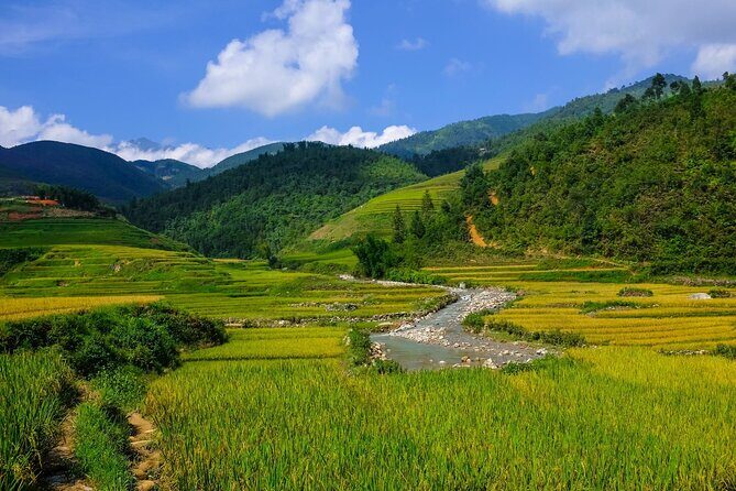 2 days authentic trekking tour in Sapa ( Homestay - Less touristy ) - What Makes This Tour Special?