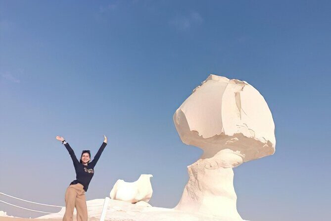 2 Days Bahariya Oasis Camp and Desert Tour from Cairo - Who Will Love This Tour?
