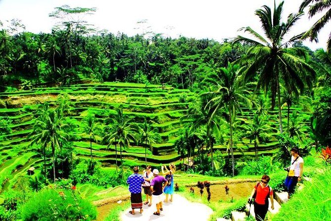 2 Days Best of Bali Famous Tour Packages - A Deep Dive into the Bali Experience