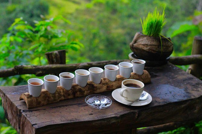 2 Days Best of Bali Famous Tour Packages - Who Will Appreciate This Tour?