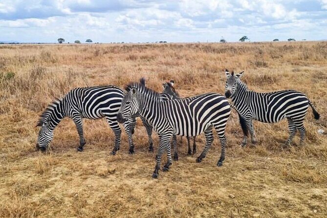 2 Days Best Safari to Mikumi National Park - Day 1: From Dar es Salaam to Mikumi