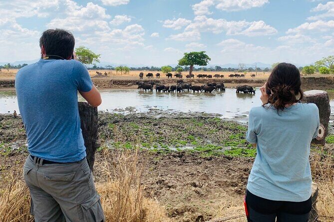 2 Days Best Safari to Mikumi National Park - What’s Included and What’s Not