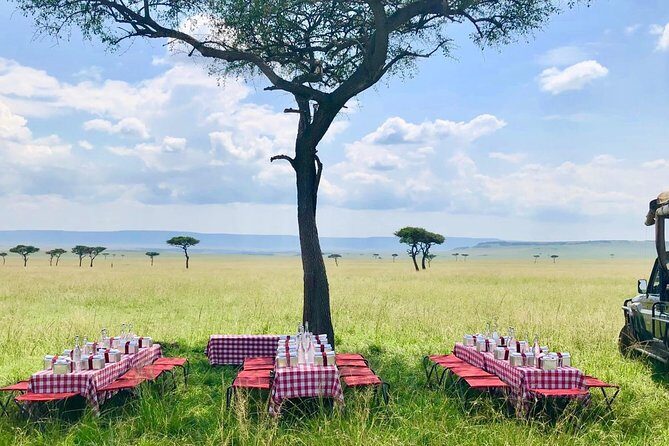 2 Days Budget Safari Masai Mara - Practical Aspects: Transportation, Timing, and Group Size