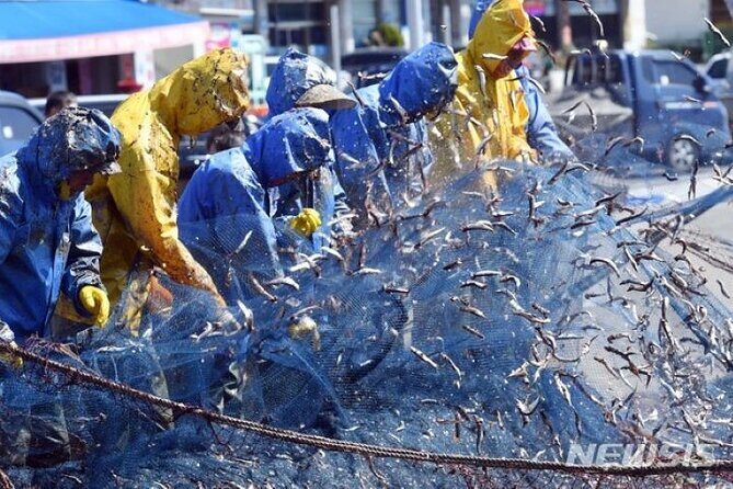 2-DAYS Busan Customized and Included Night tour - Urban Attractions & Night Views