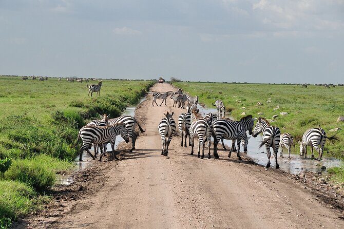 2 Days Camping Group Joining Tarangire Ngorongoro Crater Safari - Introduction: A Short but Sweet Tanzanian Safari Experience