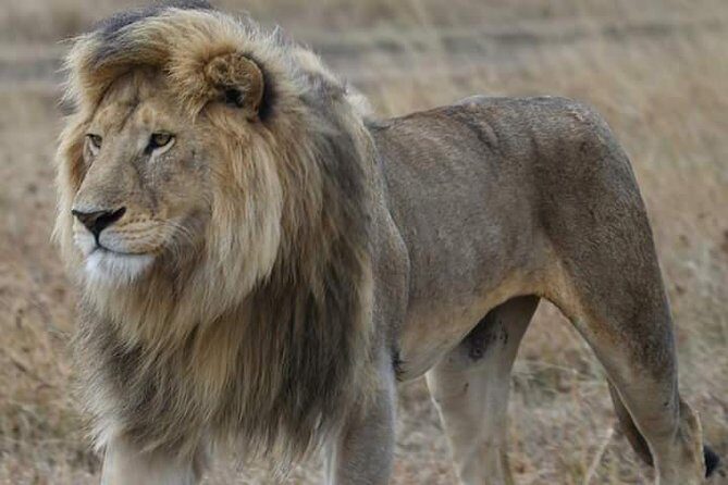 2 Days Camping Safari, Lake Manyara & Ngorongoro Crater - What Makes This Tour Stand Out?