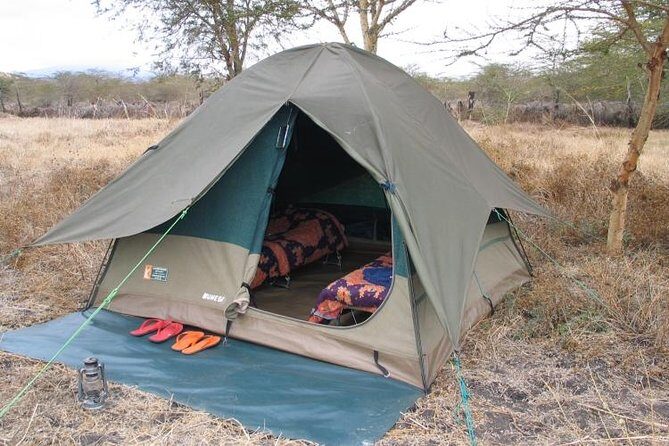 2 Days Camping Safari, Lake Manyara & Ngorongoro Crater - Final Thoughts