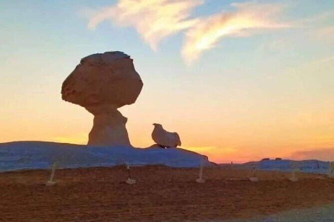 2 Days Camping Trip in the White Desert of Cairo - Who Will Love This Tour?