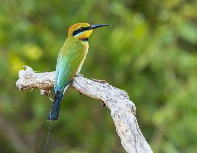 2 Days Cheap mikumi NP safari & waterfall from Dar es salaam - Day 2: Waterfalls and Mountain Hikes