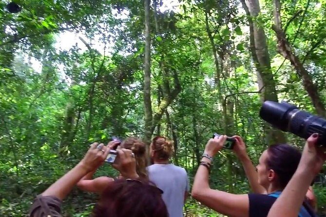 2 Days Chimpazee Safari In kibale Forest Park Uganda. - Practical Tips for Potential Travelers