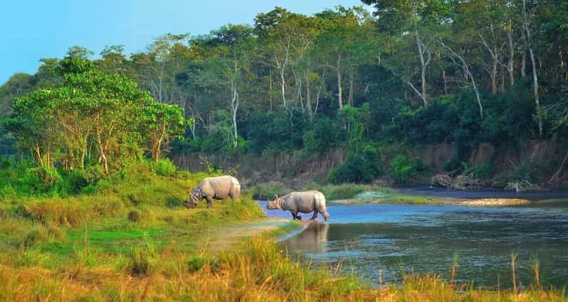 2 Days Chitwan Jungle Safari Tour from Pokhara/Kathmandu - FAQ
