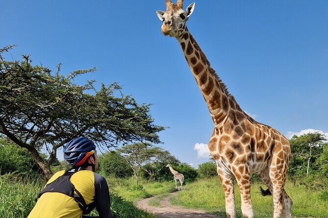 2 Days Cycling Safari To Lake Mburo National Park - Final Word