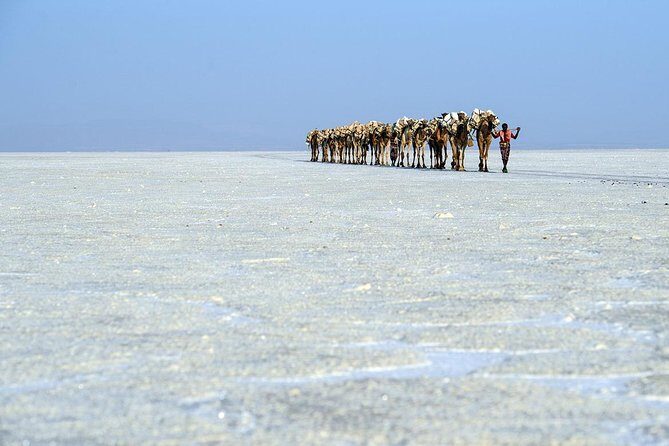 2 Days Dallol Trip - The Itinerary in Detail: What to Expect