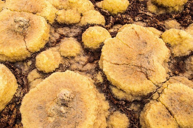 2 Days Dallol Trip - Authentic Experiences and Traveler Impressions