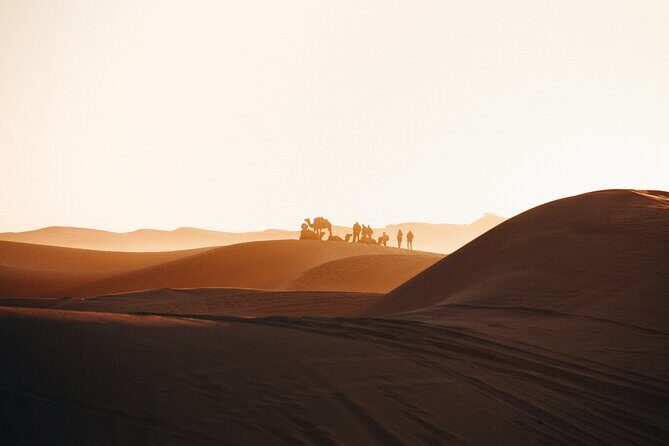 2 Days Desert Private Luxury Couple's Retreat Camel Trek + Quad - Why This Tour Offers Good Value