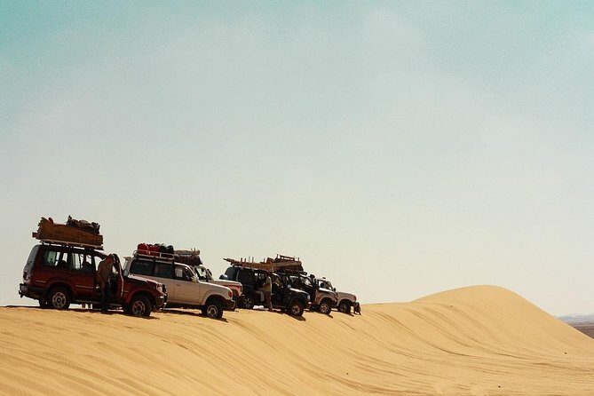 2 Days Desert Safari Trip to Fayoum Oasis from Cairo - Introduction: A Fresh Way to See Egypt