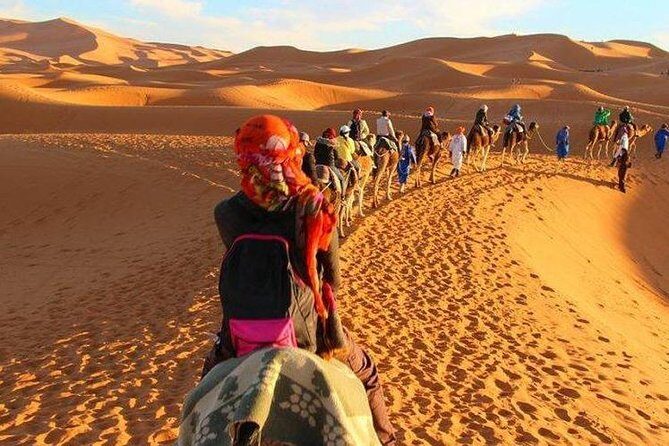 2 Days Desert Tour from Fes to Marrakech - The Practical Side: What You Get and What to Expect