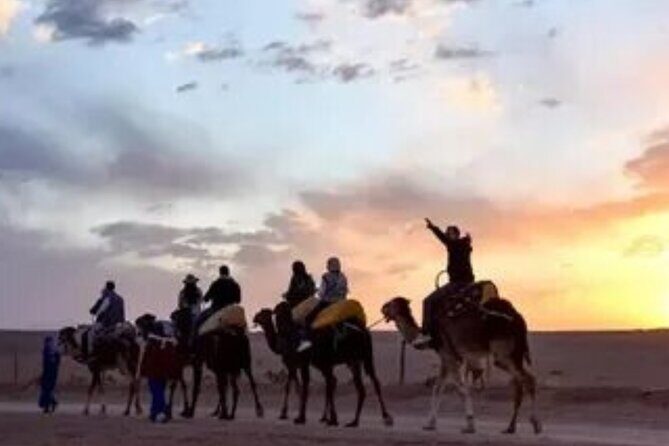 2 Days Desert Tour From Marrakech To Zagora And Camel Trek - Transport and Logistics