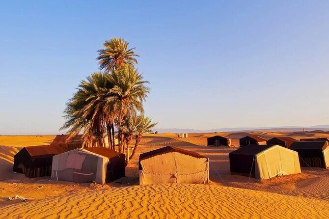 2 Days Desert Tour From Marrakech To Zagora And Camel Trek - Day 2: From Zagora Back to Marrakech