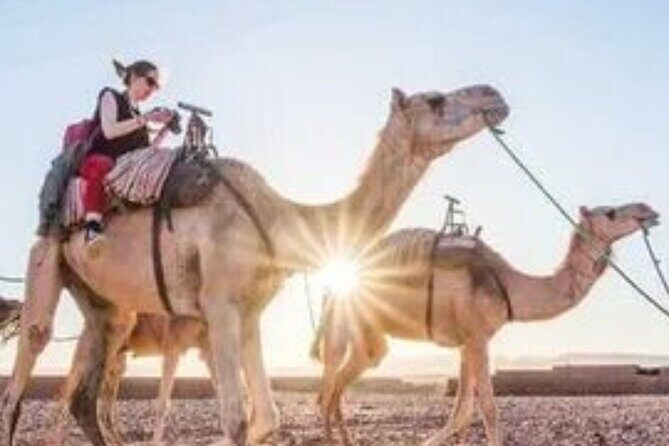 2 Days Desert Tour From Marrakech To Zagora And Camel Trek - Who Would Love This Tour?