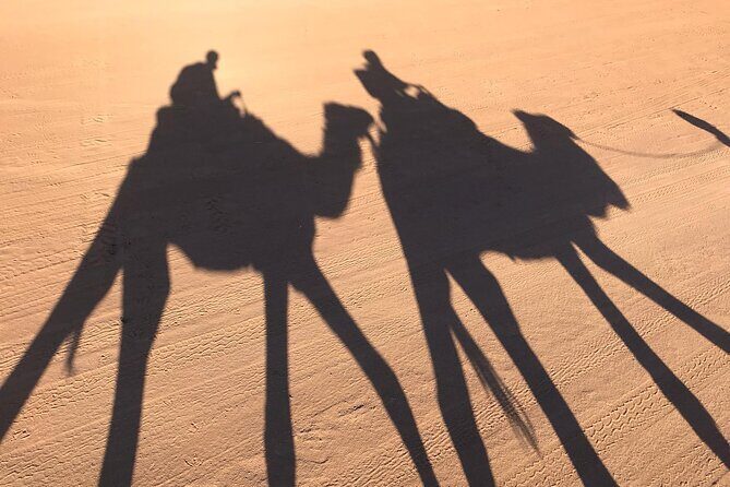 2-Days Desert Tours from Fes with Overnight in Luxury Camp - Practical Considerations