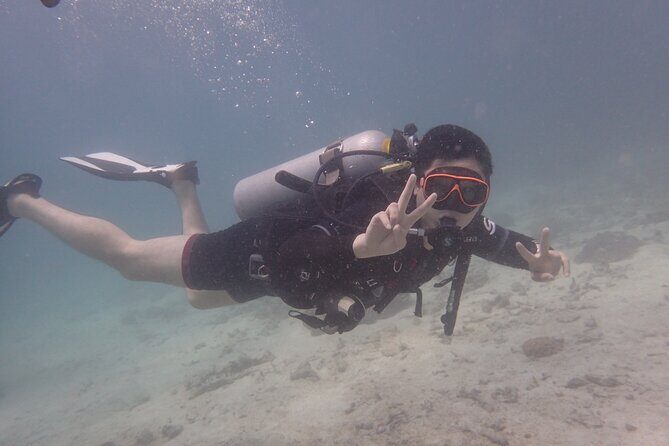 2 Days Diving Trip to Koh Tao Including 4 Dives and Accommodation - Final Thoughts: Who Should Consider This Tour?