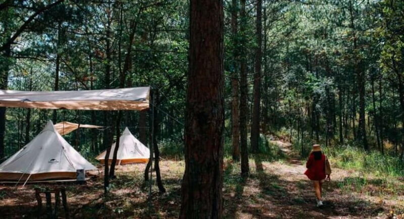 2 Days Eco Trekking Tour in Da Lat - Who Will Love This Tour?