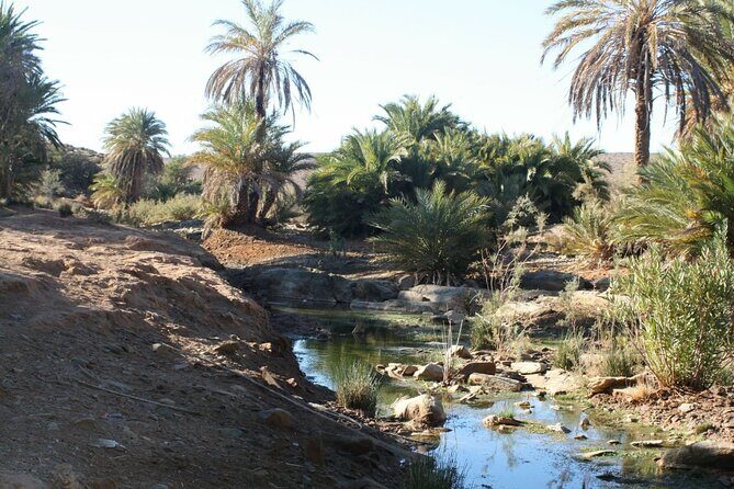 2 Days El Borj Desert Tour from Agadir - The Reviews: Authentic Voices