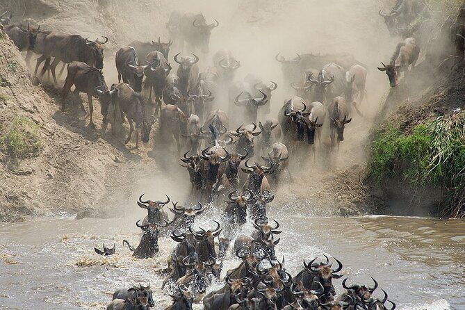 2 Days Enjoy Serengeti National Park with Balloon Safari - FAQ