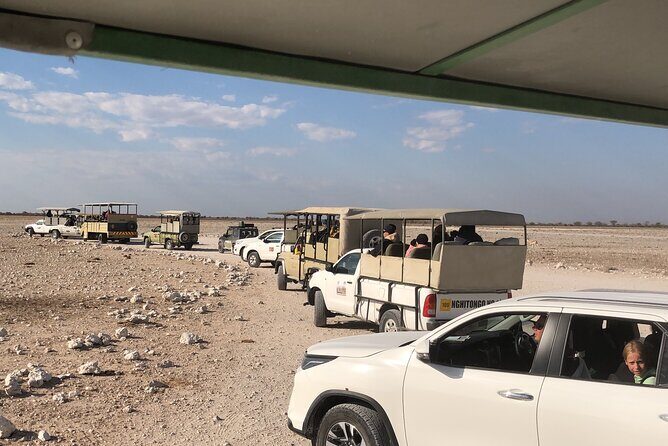 2 Days Etosha Safari Guided Tour - Why Travelers Rave About This Tour