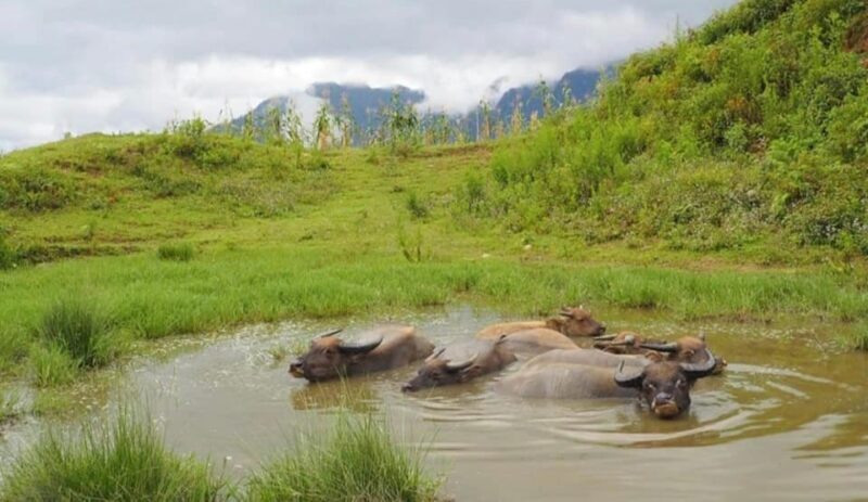 2 DAYS Explore SA PA'S Village through Scenic walking Trails - Final Words