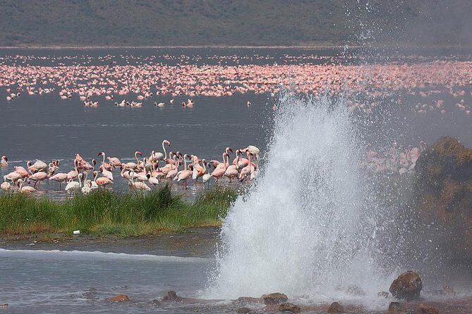2 Days Flamingo Tour to Lake Bogoria & Lake Nakuru From Nairobi - Authentic Experiences and Highlights