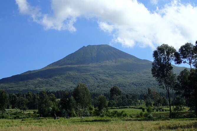 2 Days Gorilla & Golden Monkey Trekking Safaris - FAQ