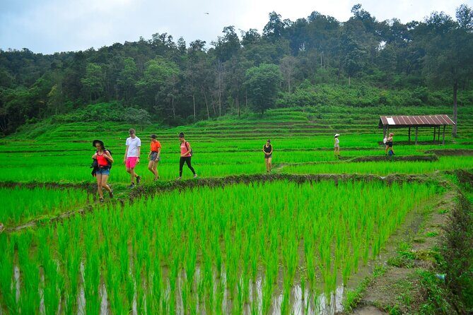 2 Days Hiking Tour in Chiang Mai - Final Thoughts: Who Will Love This Tour?