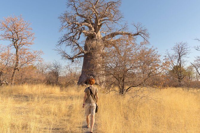 2 Days In Ruaha National Park. - An In-Depth Look at the 2-Day Tour