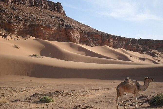 2 days in the desert from Marrakech - A Practical Overview of What to Expect