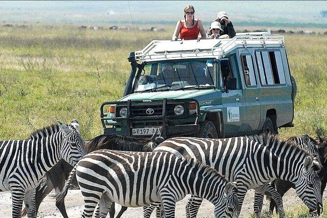 2 Days Joined Group Tarangire and Ngorongoro Crater National Park - Why This Tour Might Be Perfect for You