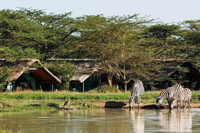 2 Days Lake Elementaita National park Safari - Who Should Consider This Tour?