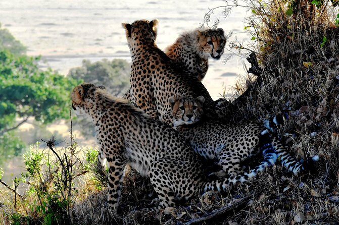 2 Days Lake Nakuru Safari - Key Points